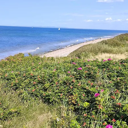 6 Person In Gilleleje-by Traum *